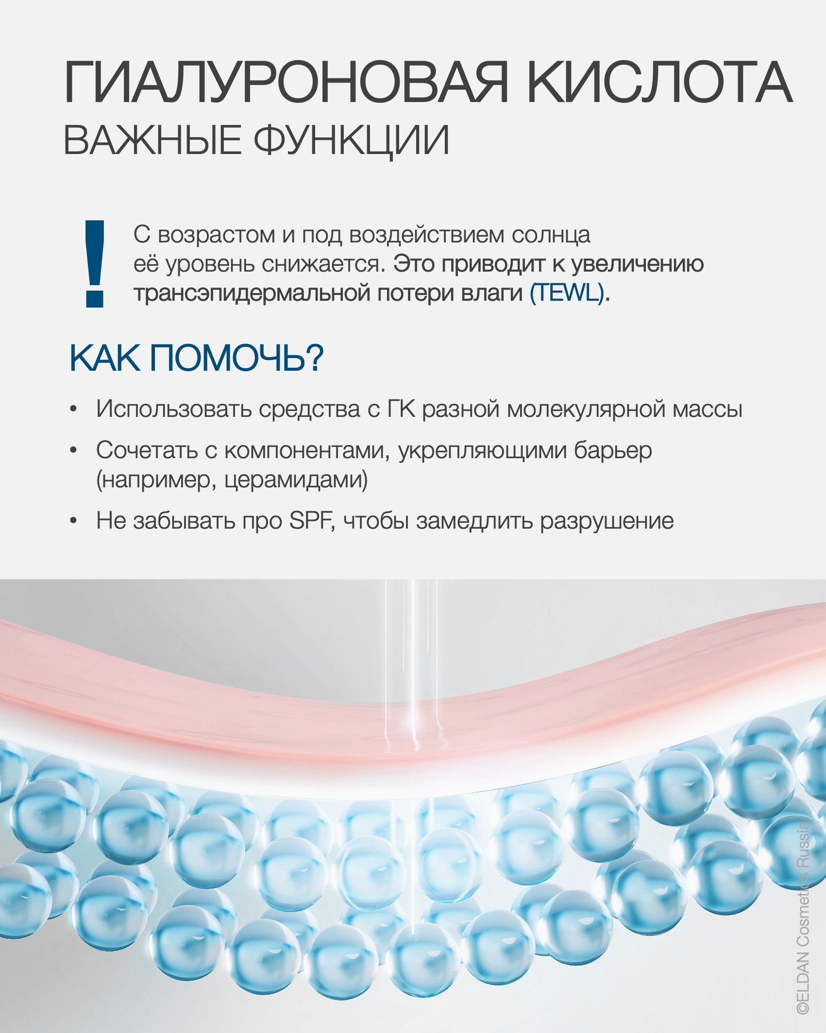 Пост роль гиалуронки 4.jpg Пост роль гиалуронки 4.jpg